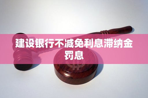 建設(shè)銀行不減免利息滯納金罰息