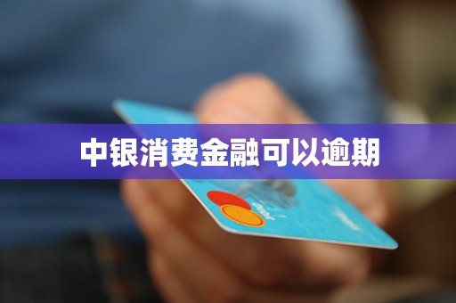 中銀消費金融可以逾期