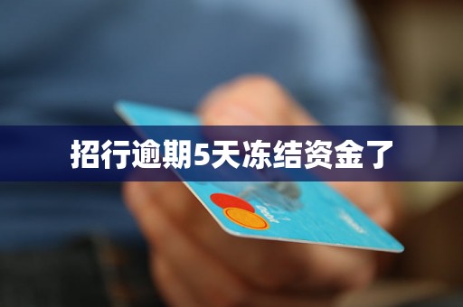 招行逾期5天冻结资金了