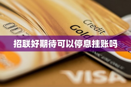 招联好期待可以停息挂账吗
