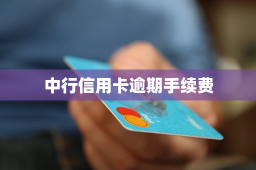 中行信用卡逾期手續(xù)費