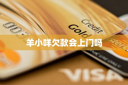 羊小咩欠款会上门吗