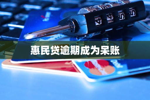 惠民贷逾期成为呆账