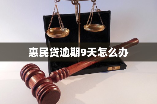 惠民贷逾期9天怎么办