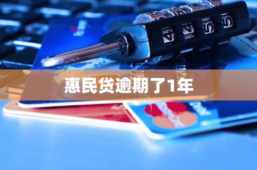 惠民贷逾期了1年 惠民贷逾期了1年