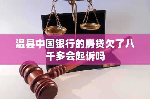 溫縣中國銀行的房貸欠了八千多會起訴嗎