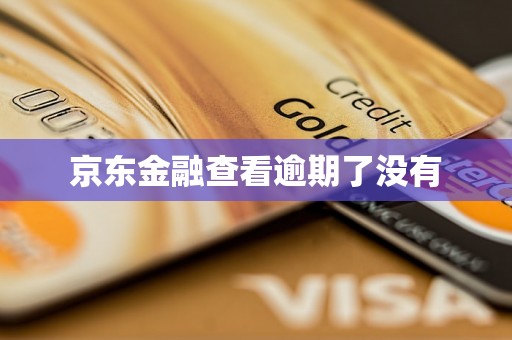 京东金融查看逾期了没有 京东金融查看逾期了没有