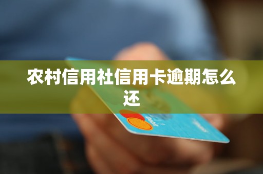 農(nóng)村信用社信用卡逾期怎么還