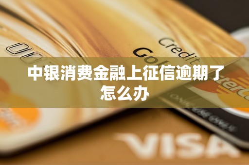 中銀消費(fèi)金融上征信逾期了怎么辦