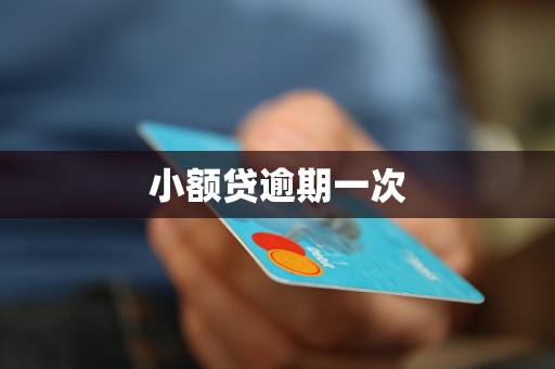 小额贷逾期一次