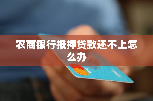 農(nóng)商銀行抵押貸款還不上怎么辦