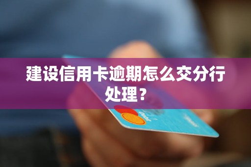 建設信用卡逾期怎么交分行處理？