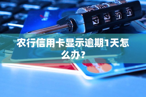 農(nóng)行信用卡顯示逾期1天怎么辦？