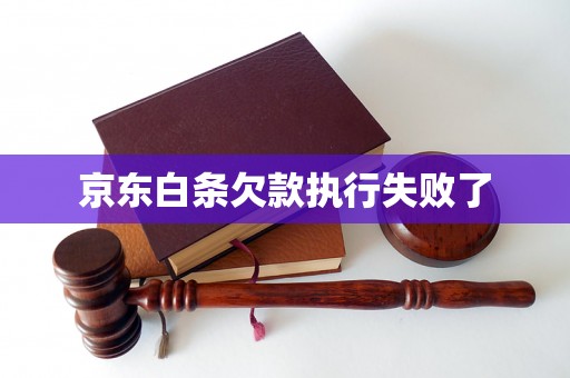 京东白条欠款执行失败了