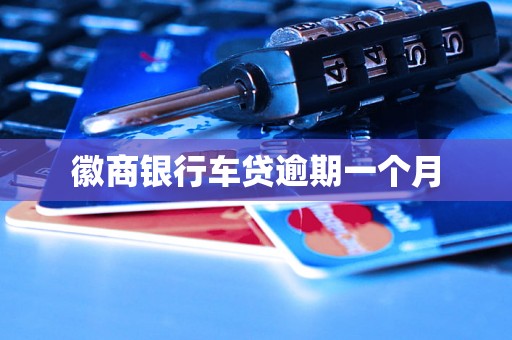 徽商银行车贷逾期一个月 徽商银行车贷逾期一个月