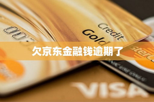 欠京东金融钱逾期了