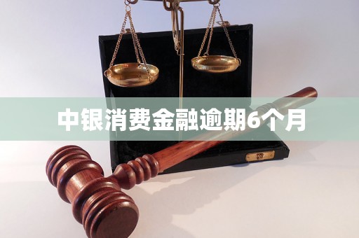 中银消费金融逾期6个月 中银消费金融逾期6个月