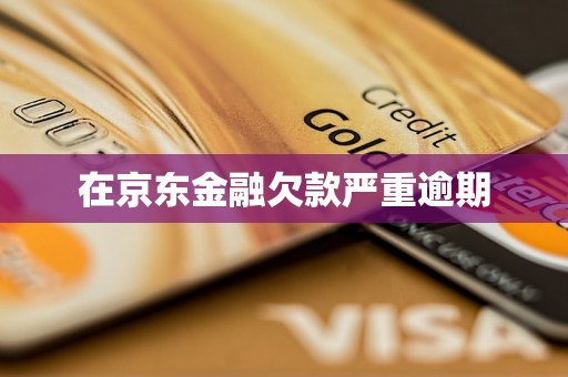 在京东金融欠款严重逾期
