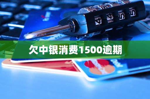 欠中银消费1500逾期