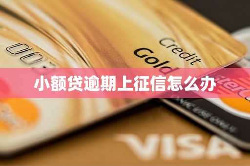 小额贷逾期上征信怎么办 小额贷逾期上征信怎么办