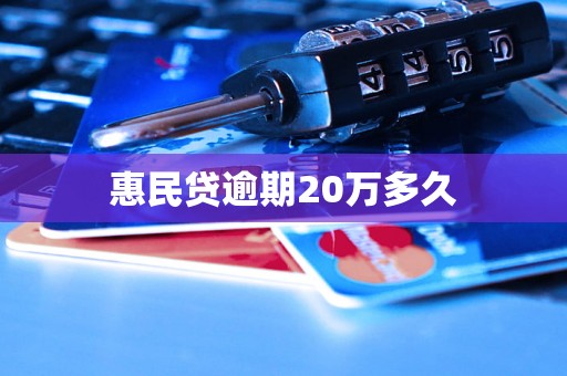 惠民贷逾期20万多久