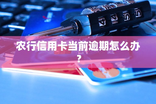 農(nóng)行信用卡當前逾期怎么辦？