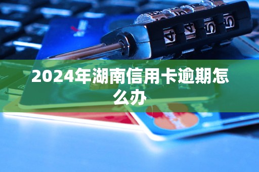 2024年湖南信用卡逾期怎么辦