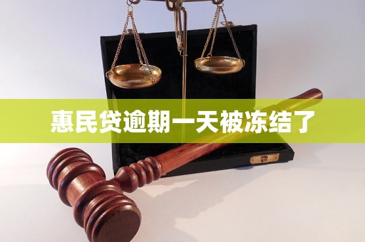 惠民贷逾期一天被冻结了