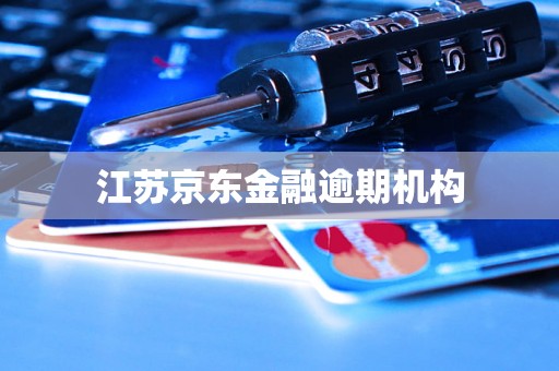 江苏京东金融逾期机构