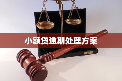 小额贷逾期处理方案 小额贷逾期处理方案