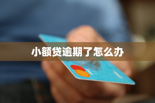 小额贷逾期了怎么办