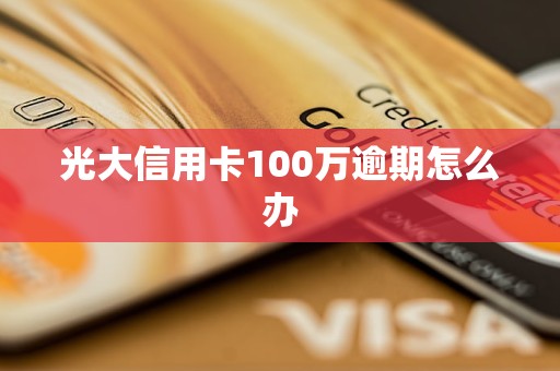 光大信用卡100萬(wàn)逾期怎么辦