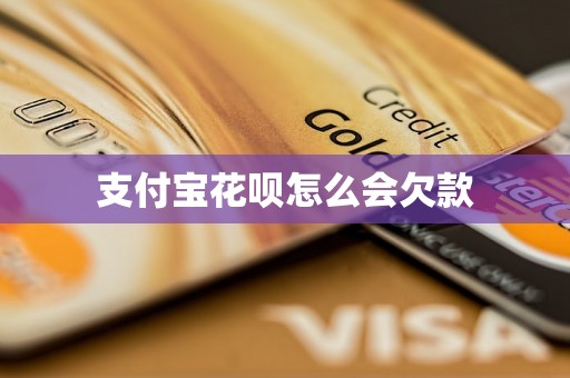 支付宝花呗怎么会欠款