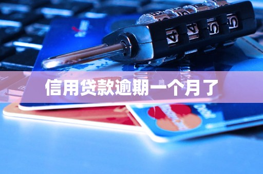 信用贷款逾期一个月了