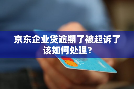 京東企業(yè)貸逾期了被起訴了該如何處理？