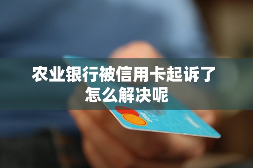 農(nóng)業(yè)銀行被信用卡起訴了 怎么解決呢