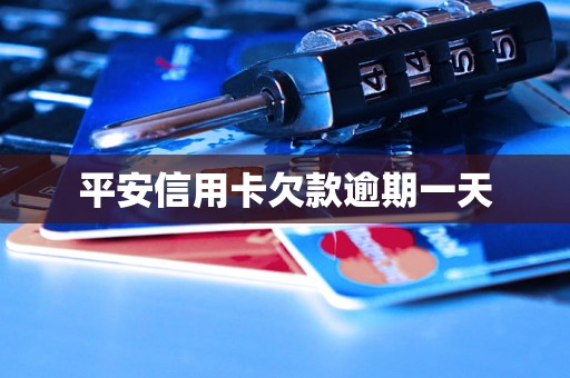 平安信用卡欠款逾期一天