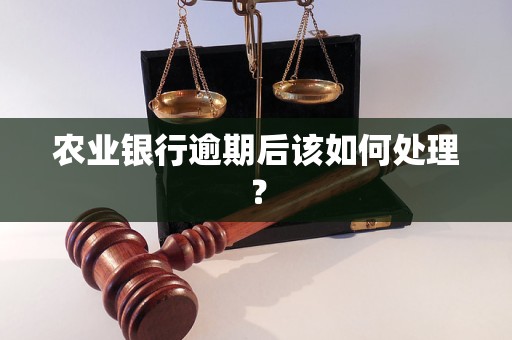 農(nóng)業(yè)銀行逾期后該如何處理？