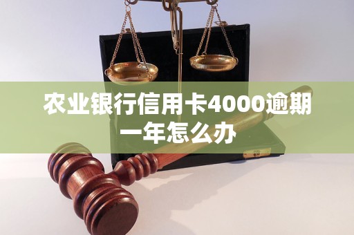 農(nóng)業(yè)銀行信用卡4000逾期一年怎么辦