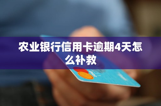 農(nóng)業(yè)銀行信用卡逾期4天怎么補救