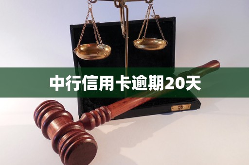 中行信用卡逾期20天