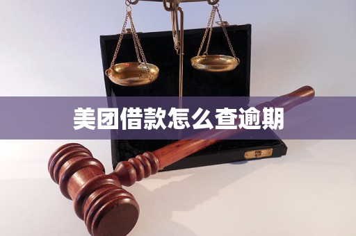 美团借款怎么查逾期