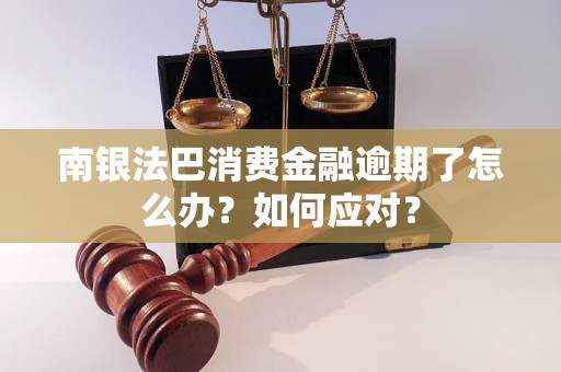 南銀法巴消費金融逾期了怎么辦？如何應對？