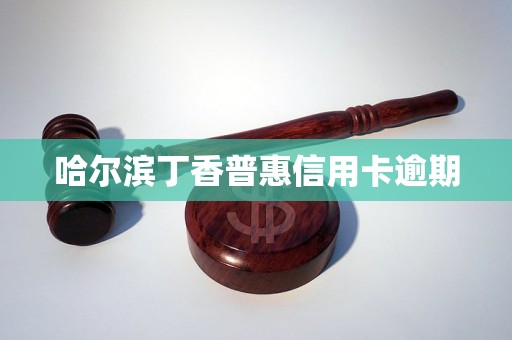 哈爾濱丁香普惠信用卡逾期