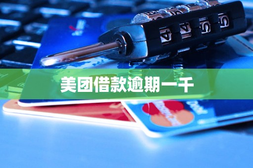 美团借款逾期一千