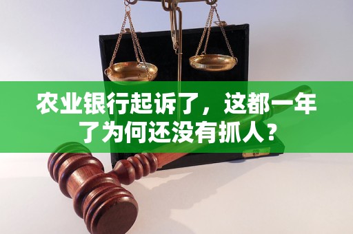 農(nóng)業(yè)銀行起訴了，這都一年了為何還沒有抓人？