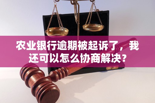 農(nóng)業(yè)銀行逾期被起訴了，我還可以怎么協(xié)商解決？