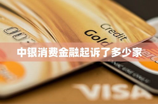 中銀消費金融起訴了多少家