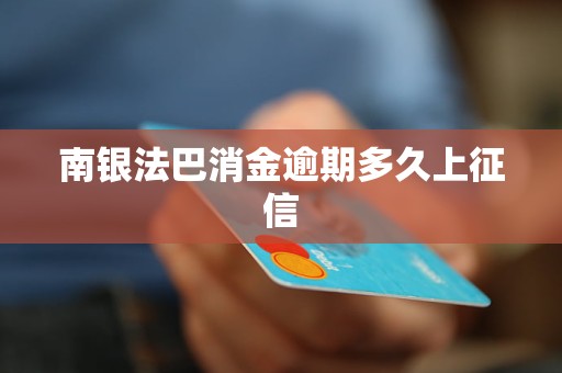 南銀法巴消金逾期多久上征信