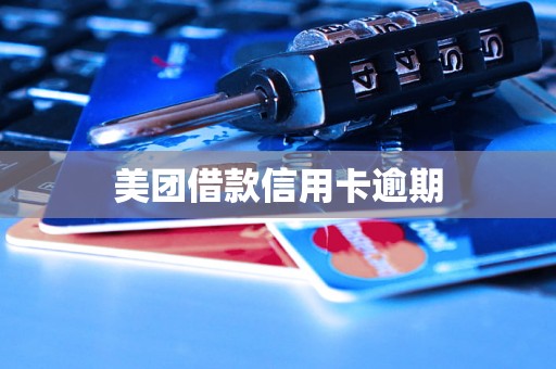 美团借款信用卡逾期